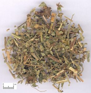 仙鶴鳳尾湯 仙鶴鳳尾湯