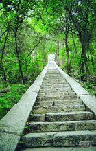 臘山國家森林公園