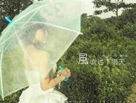 風吹過的下雨天 風吹過的下雨天