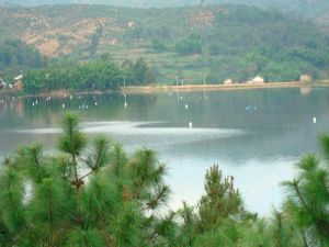 大黃力村 大黃力村