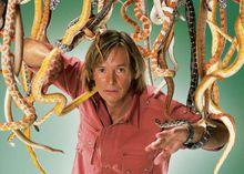 奧斯汀·斯蒂文斯