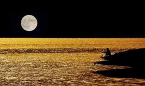 釣月 釣月