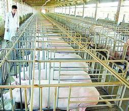 流通儲備 流通儲備