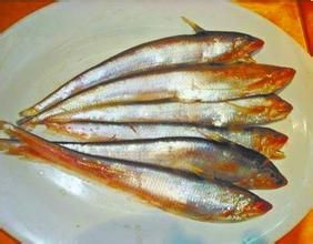 黃河刀魚肉質細 黃河刀魚肉質細