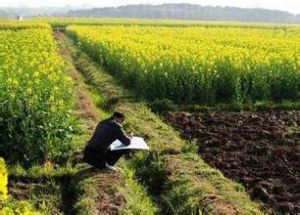 土地農業利用率 土地農業利用率