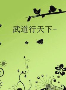 武道行天下 武道行天下