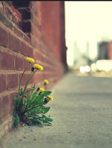 聯考微作文 聯考微作文