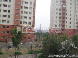 虹浦新城 虹浦新城