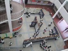 衡陽市船山英文學校