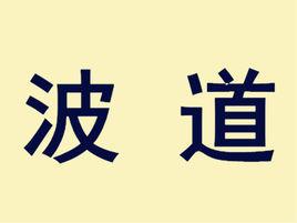 波道 波道