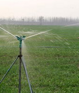 地面灌溉 地面灌溉