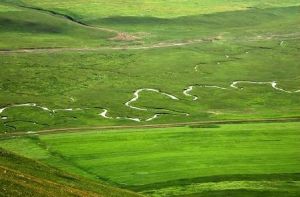 羊腸子河 羊腸子河