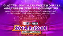 世界體育舞蹈大賽 世界體育舞蹈大賽