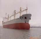 曼薩尼略 曼薩尼略