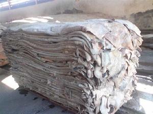 生牛皮[皮革材料]