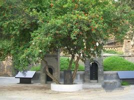 楊虎城墓 楊虎城墓