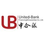 深圳市中合銀融資擔保有限公司 深圳市中合銀融資擔保有限公司