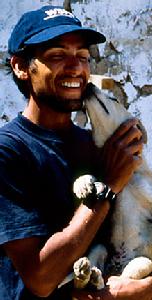 世界動物保護協會