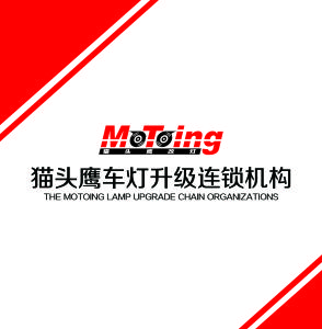 貓頭鷹改燈 貓頭鷹改燈