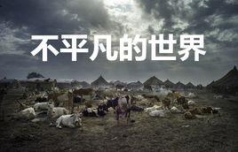 不平凡的世界 不平凡的世界