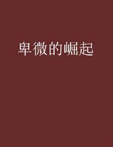 卑微的崛起 卑微的崛起