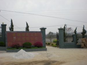 東興村[安徽省安慶市宿松縣下倉鎮下轄村]