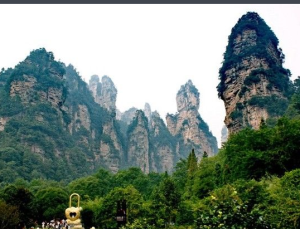 捷徑焦慮 捷徑焦慮