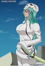 妮莉艾露·杜·歐德修凡克