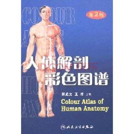 人體解剖彩色圖譜 人體解剖彩色圖譜