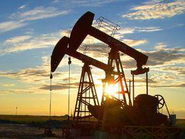 井網部署 井網部署