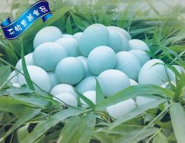 綠殼鴨蛋 綠殼鴨蛋