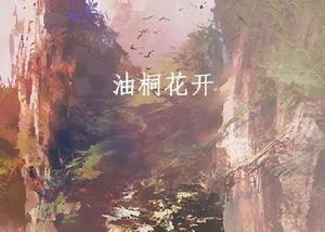 油桐花開
