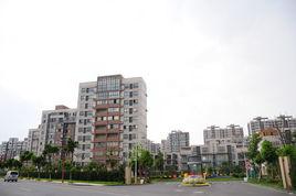 林城開發區 林城開發區