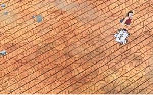 藤虎[日本動漫《海賊王》中人物]