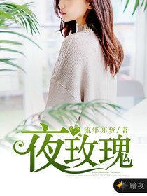 夜玫瑰[暗夜文學網小說]
