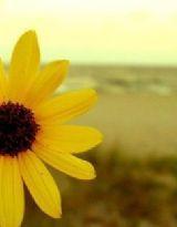 愛不一定在一起 愛不一定在一起