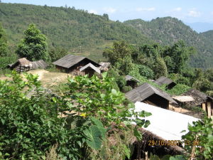 那拉帕自然村 那拉帕自然村