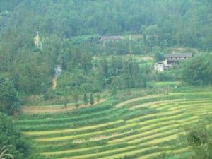 上馬鹿塘自然村 上馬鹿塘自然村