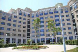 南聯邦大學 南聯邦大學