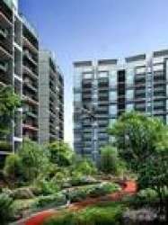 列儂溪谷 列儂溪谷