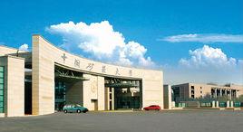 張玉秀[中國礦業大學教授]