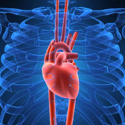 創傷性心源性溶血性貧血