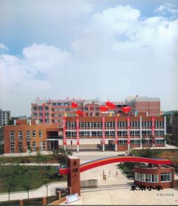 富順縣東湖國小 富順縣東湖國小