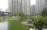 觀湖國際大廈 觀湖國際大廈