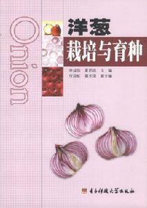 洋蔥栽培與育種 洋蔥栽培與育種