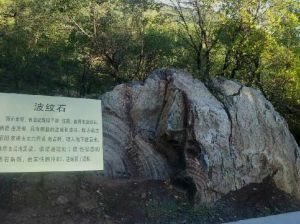 隕石山森林公園