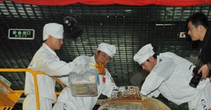 Chinese Lunar Exploration Program