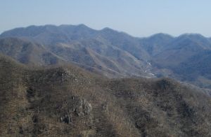 長陰子村 長陰子村