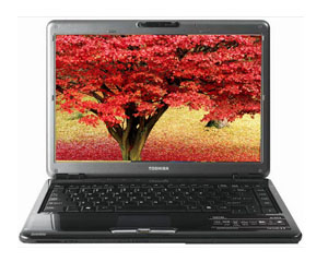 東芝 SATELLITE M319 東芝 SATELLITE M319