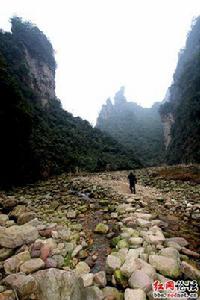 白虎堂[詞語釋義]